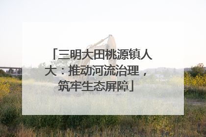 三明大田桃源镇人大：推动河流治理，筑牢生态屏障