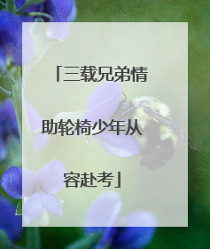 三载兄弟情助轮椅少年从容赴考