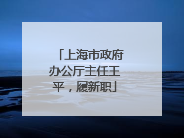 上海市政府办公厅主任王平，履新职