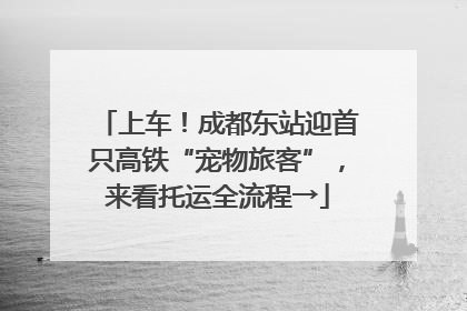 上车！成都东站迎首只高铁“宠物旅客”，来看托运全流程→