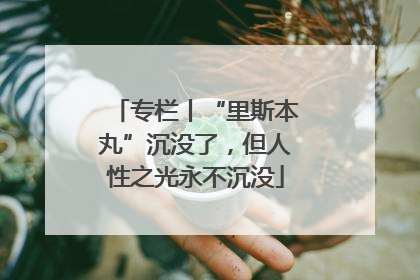 专栏丨“里斯本丸”沉没了，但人性之光永不沉没