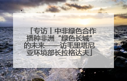 专访丨中非绿色合作播种非洲“绿色长城”的未来——访毛里塔尼亚环境部长拉格达夫