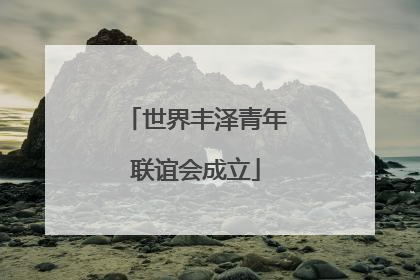 世界丰泽青年联谊会成立