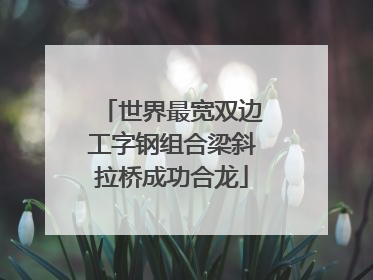 世界最宽双边工字钢组合梁斜拉桥成功合龙