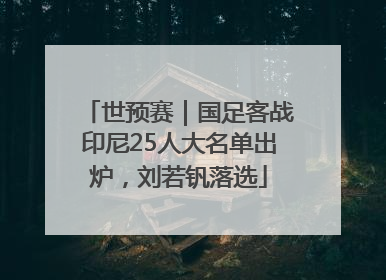 世预赛｜国足客战印尼25人大名单出炉，刘若钒落选
