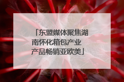 东盟媒体聚焦湖南怀化箱包产业 产品畅销亚欧美