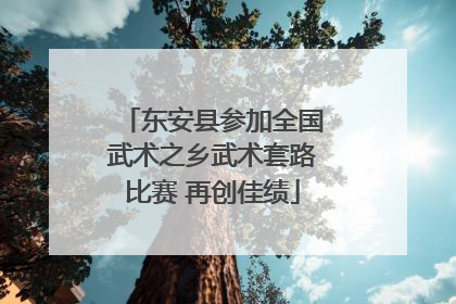 东安县参加全国武术之乡武术套路比赛 再创佳绩