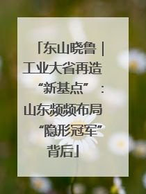 东山晓鲁｜工业大省再造“新基点”：山东频频布局“隐形冠军”背后