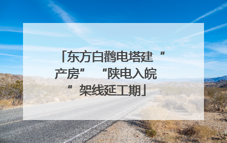 东方白鹳电塔建“产房” “陕电入皖”架线延工期