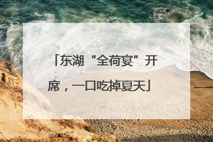 东湖“全荷宴”开席，一口吃掉夏天