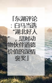 东湖评论：白马当选“湖北好人”，是对动物伙伴道德价值的深情褒奖