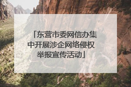 东营市委网信办集中开展涉企网络侵权举报宣传活动