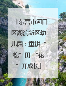 东营市河口区湖滨新区幼儿园：童耕“棉”田 “花”开成长