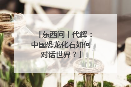东西问丨代辉：中国恐龙化石如何对话世界？