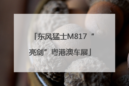 东风猛士M817“亮剑”粤港澳车展
