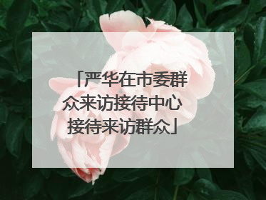 严华在市委群众来访接待中心接待来访群众