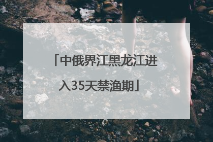 中俄界江黑龙江进入35天禁渔期