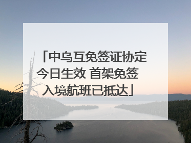 中乌互免签证协定今日生效 首架免签入境航班已抵达