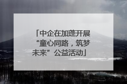 中企在加蓬开展“童心同路，筑梦未来”公益活动