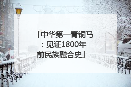 中华第一青铜马：见证1800年前民族融合史
