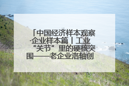 中国经济样本观察·企业样本篇丨工业“关节”里的硬核突围——老企业洛轴创新蝶变启示录