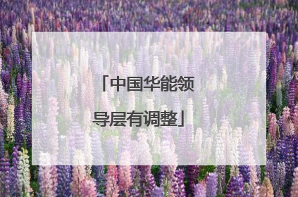 中国华能领导层有调整