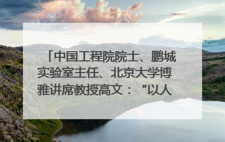 中国工程院院士、鹏城实验室主任、北京大学博雅讲席教授高文：“以人为本 智能向善” 推动文化与科技相生相促｜聚焦2025文化强国建设高峰论坛