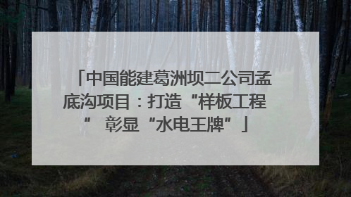 中国能建葛洲坝二公司孟底沟项目：打造“样板工程” 彰显“水电王牌”