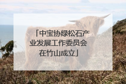 中宝协绿松石产业发展工作委员会在竹山成立