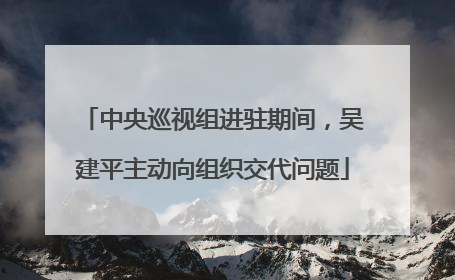 中央巡视组进驻期间，吴建平主动向组织交代问题