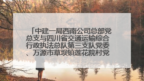 中建一局西南公司总部党总支与四川省交通运输综合行政执法总队第三支队党委、万源市草坝镇莲花院村党支部开展党建联建
