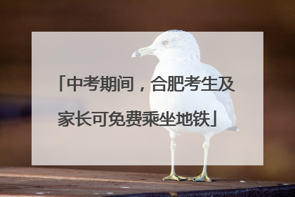 中考期间，合肥考生及家长可免费乘坐地铁