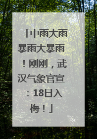 中雨大雨暴雨大暴雨！刚刚，武汉气象官宣：18日入梅！