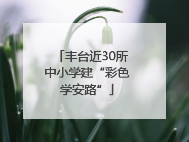 丰台近30所中小学建“彩色学安路”