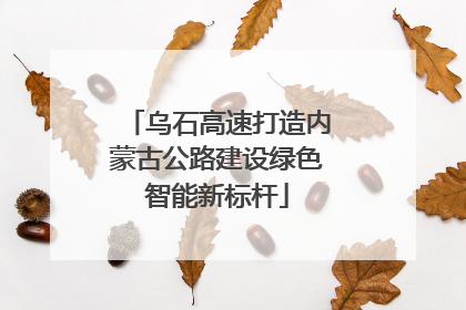 乌石高速打造内蒙古公路建设绿色智能新标杆