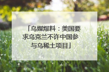 乌媒爆料：美国要求乌克兰不许中国参与乌稀土项目