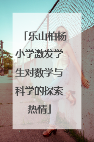 乐山柏杨小学激发学生对数学与科学的探索热情