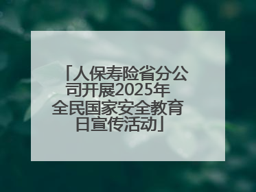 人保寿险省分公司开展2025年全民国家安全教育日宣传活动