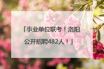 事业单位联考！洛阳公开招聘482人！