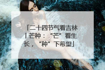 二十四节气看吉林丨芒种：“芒”着生长，“种”下希望