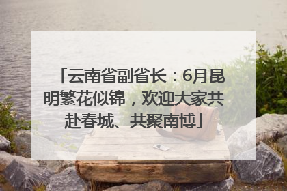 云南省副省长：6月昆明繁花似锦，欢迎大家共赴春城、共聚南博
