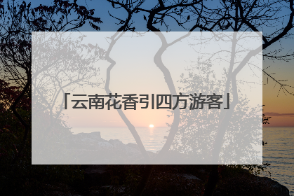 云南花香引四方游客