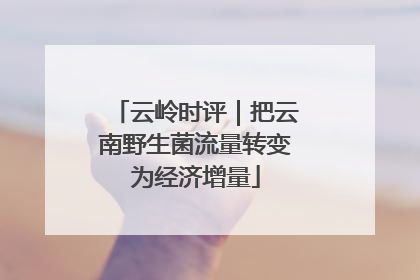 云岭时评｜把云南野生菌流量转变为经济增量