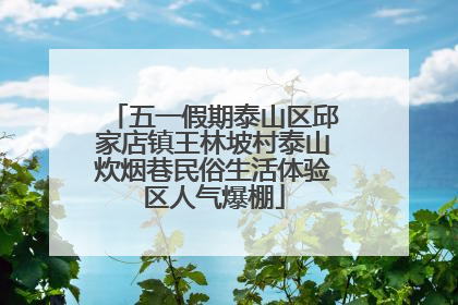 五一假期泰山区邱家店镇王林坡村泰山炊烟巷民俗生活体验区人气爆棚