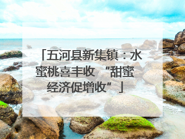 五河县新集镇：水蜜桃喜丰收 “甜蜜经济促增收”