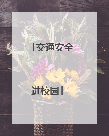 交通安全进校园