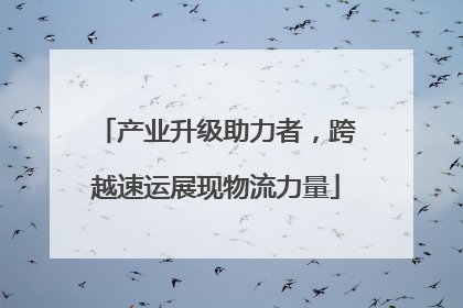 产业升级助力者，跨越速运展现物流力量