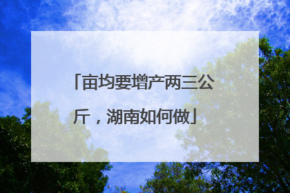 亩均要增产两三公斤，湖南如何做
