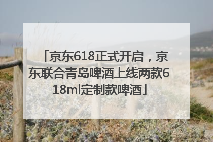 京东618正式开启，京东联合青岛啤酒上线两款618ml定制款啤酒