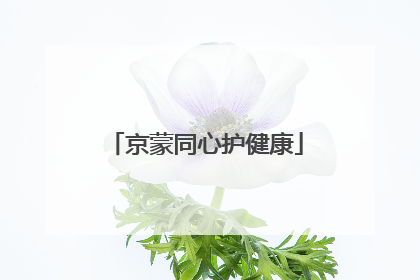 京蒙同心护健康